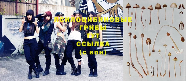 альфа пвп Арсеньев