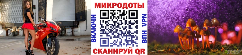 закладка  KRAKEN зеркало  Псилоцибиновые грибы Psilocybine cubensis  Верхнеуральск 